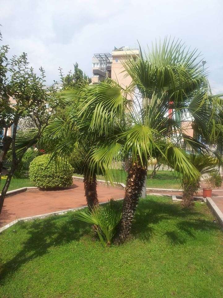 Hotel De La Ville Central Латина Зручності фото